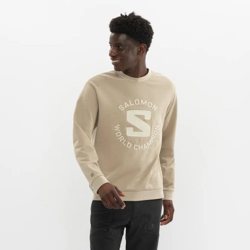 Beige Salomon Outlife Logo Summer Men's Sweatshirt | IE CU0328